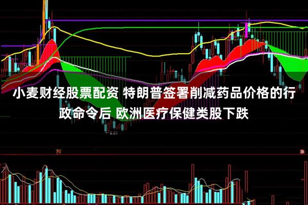 小麦财经股票配资 特朗普签署削减药品价格的行政命令后 欧洲医疗保健类股下跌