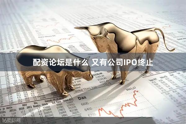 配资论坛是什么 又有公司IPO终止