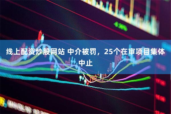 线上配资炒股网站 中介被罚，25个在审项目集体中止
